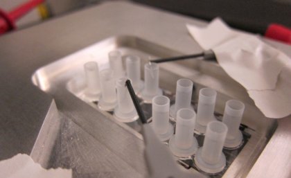 The new bacteria sorting technique will have a range of applications. The new bacteria sorting technique will have a range of applications.